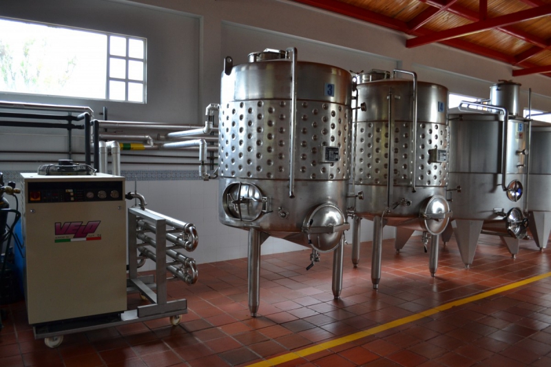 cave-ILONSE-min_wine_production_cantine_winery_drink_alcohol_vine_beverage-902036